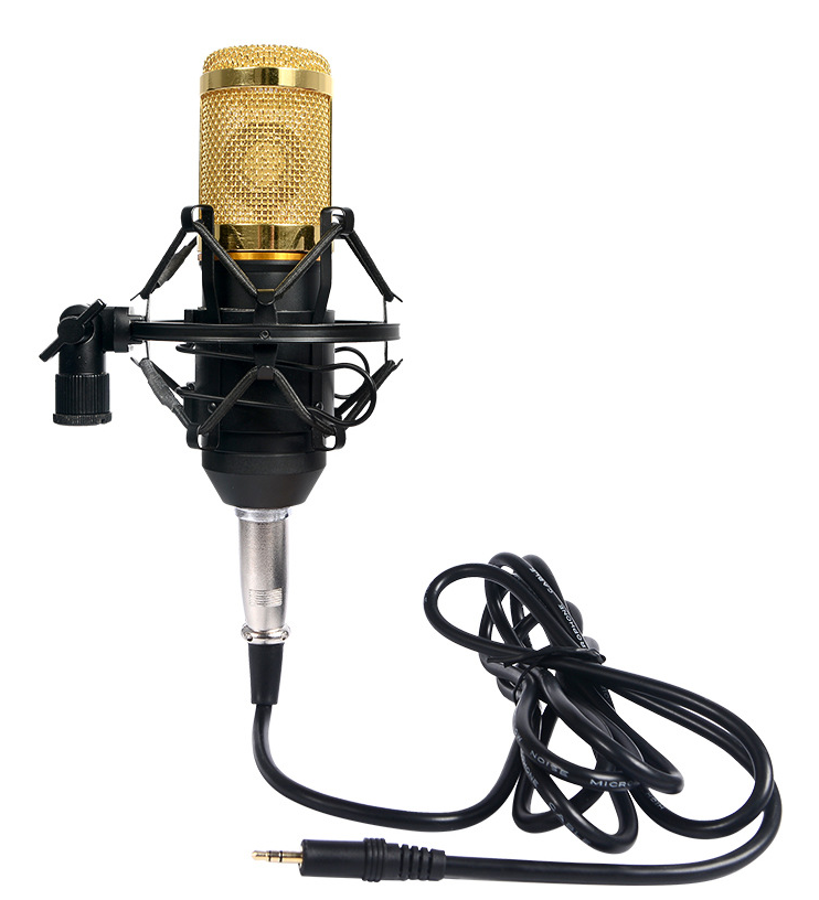 BM-800 Condenser Microphone  Pixco - Provide Professional