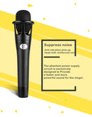 E-300 Condenser Microphone - Pixco - Provide Professional Photographic Equipment Accessories