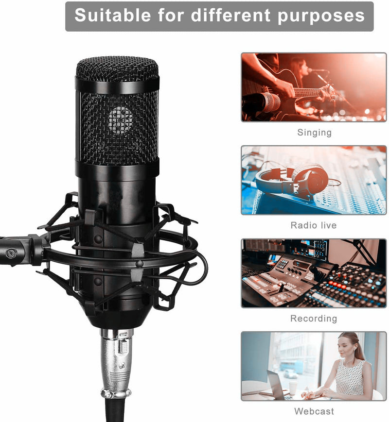 BM-800 Condenser Recording Microphone with Shock Mount 