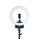Pixco 13'' LED Ring Light Photography 36W 3200K-5600K 240pcs Bulbs With Remote Stand Kit - Pixco - Provide Professional Photographic Equipment Accessories