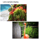 50mm F1.8 Manual Fixed Lens - Pixco - Provide Professional Photographic Equipment Accessories